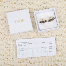 Christian Dior Earrings